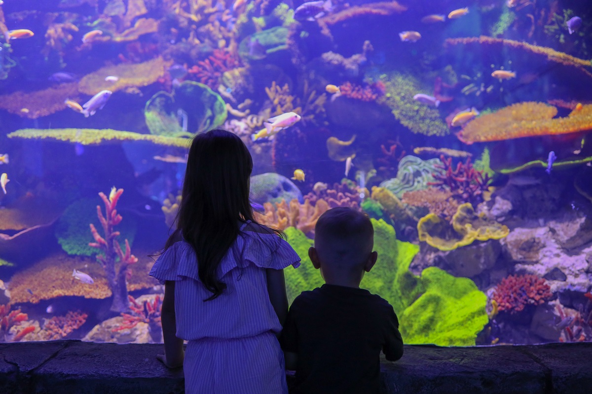 Visitare Genova con i bambini